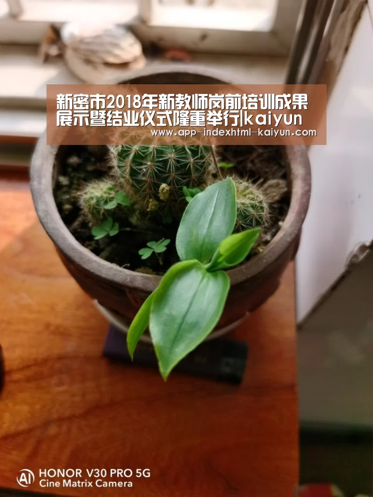 新密市2018年新教师岗前培训成果展示暨结业仪式隆重举行|kaiyun