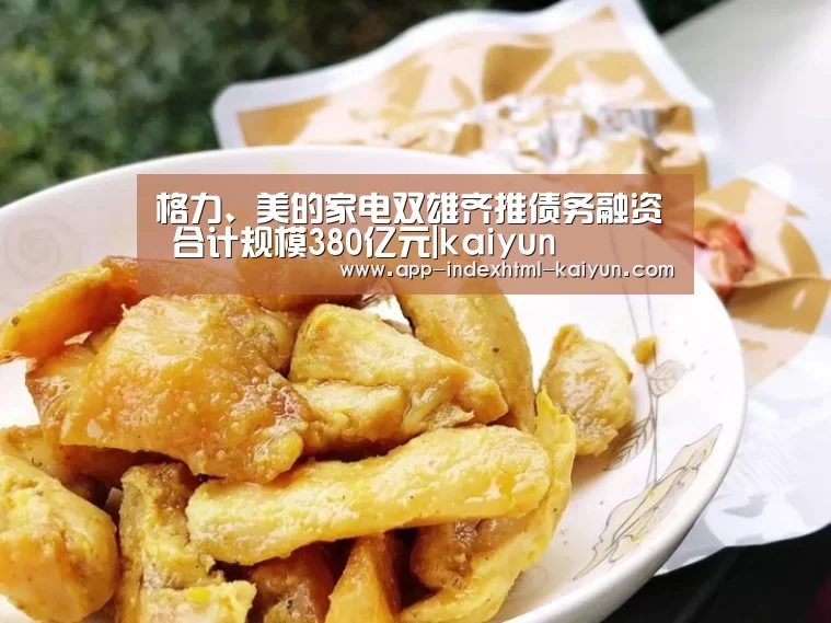 格力、美的家电双雄齐推债务融资 合计规模380亿元|kaiyun(图2)