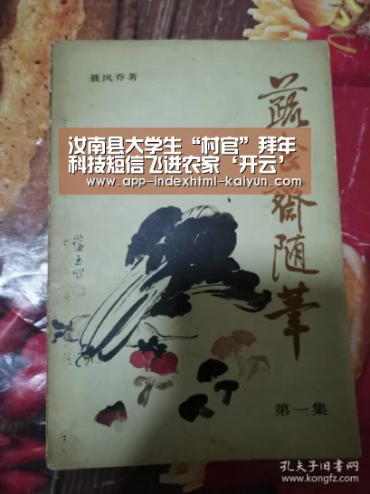 开云